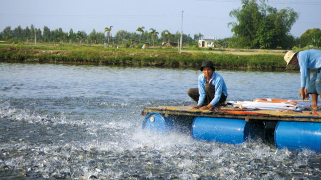 NGUYÊN TẮC SỬ DỤNG THUỐC, HÓA CHẤT TRONG NUÔI TRỒNG THỦY SẢN